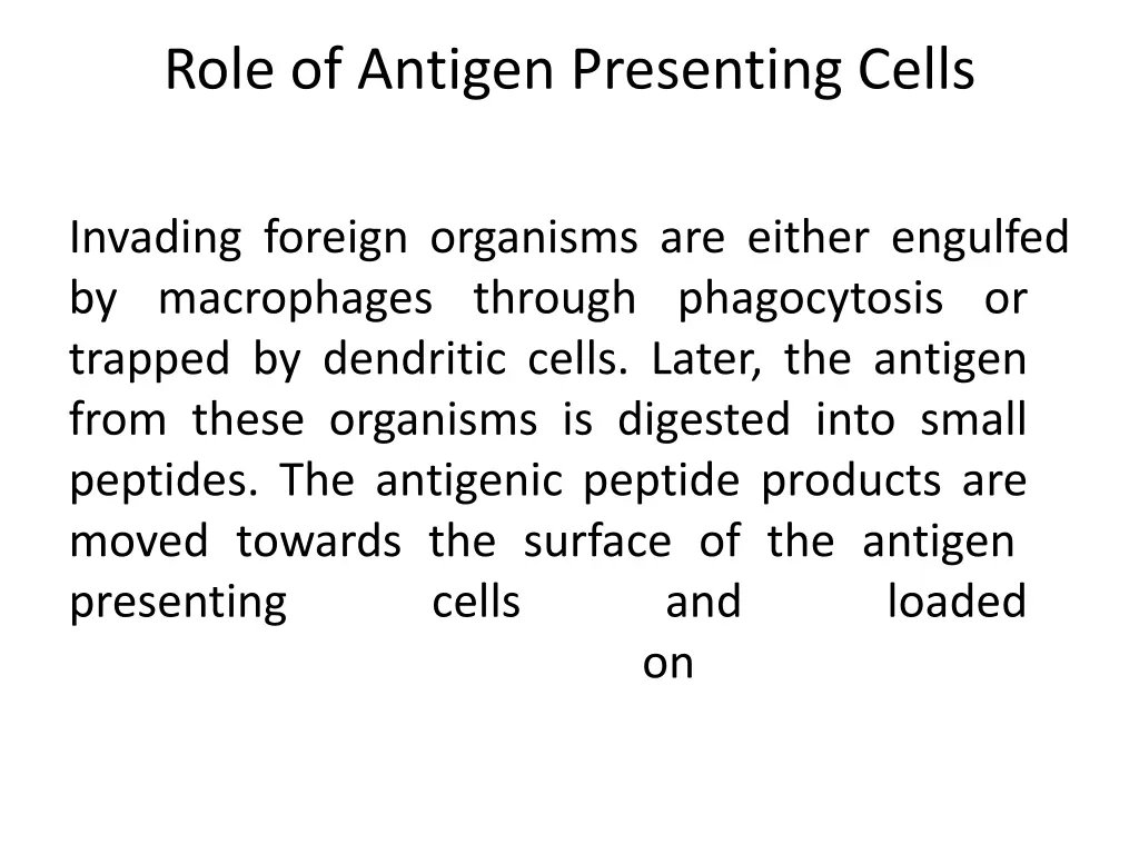 role of antigen presenting cells