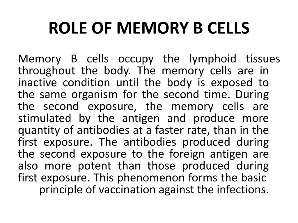 role of memory b cells