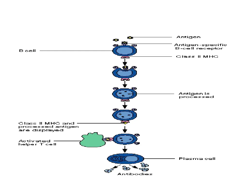 slide29