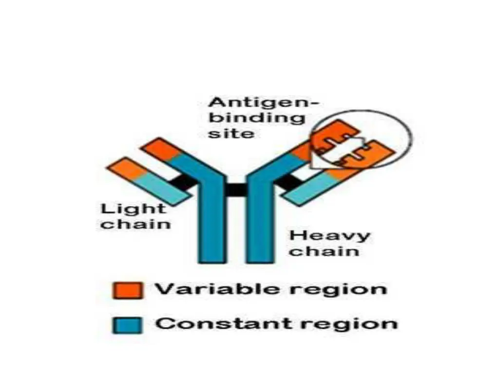 slide37