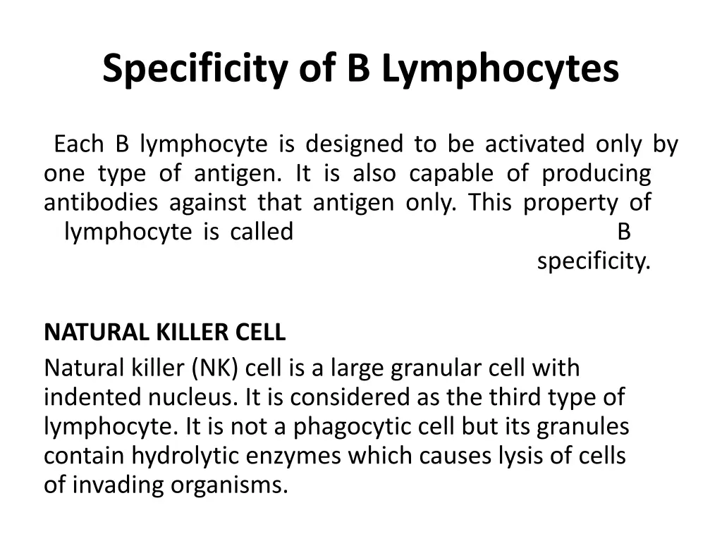 specificity of b lymphocytes