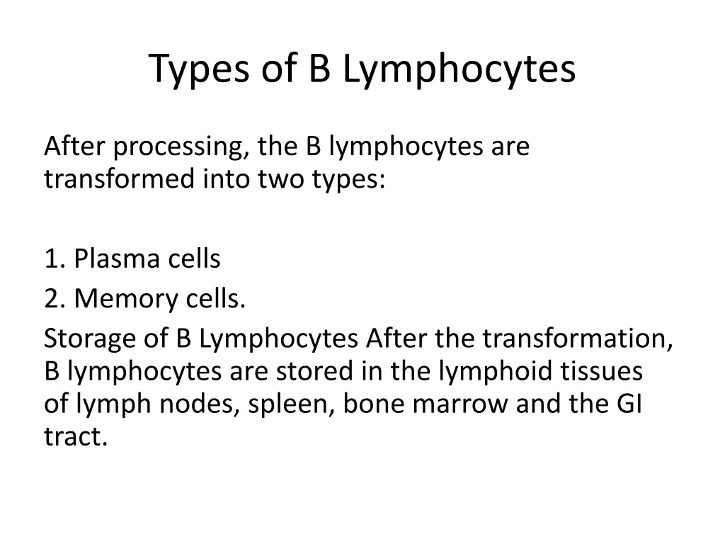 types of b lymphocytes