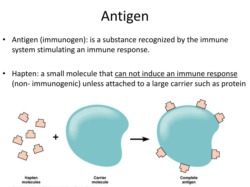 antigen