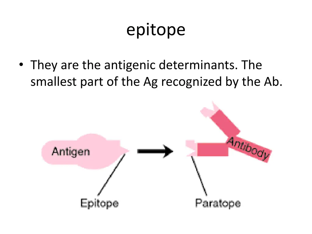 epitope