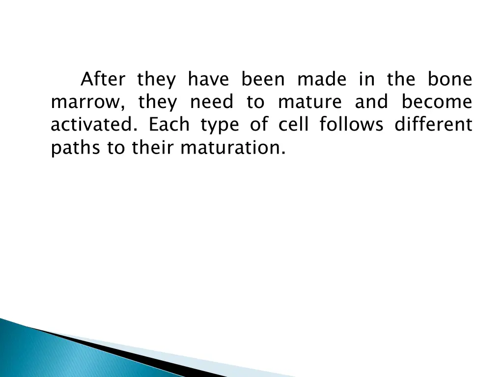 after they have been made in the bone marrow they