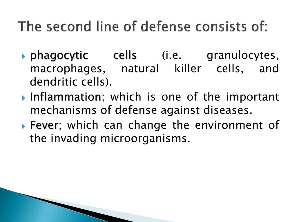 phagocytic macrophages dendritic cells
