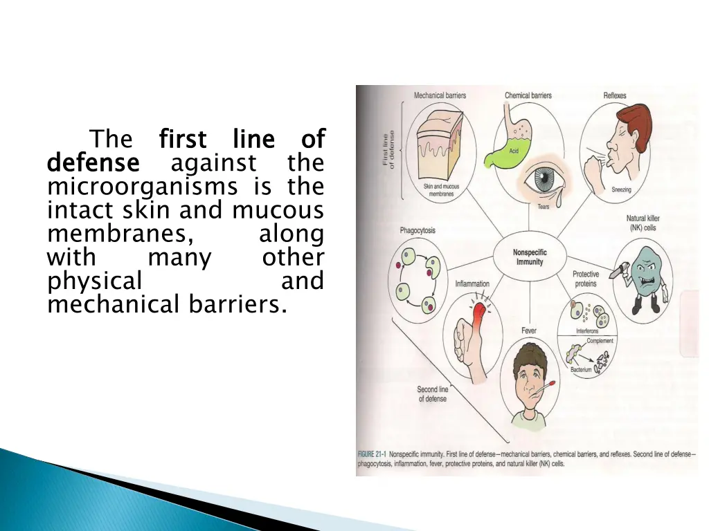 slide4