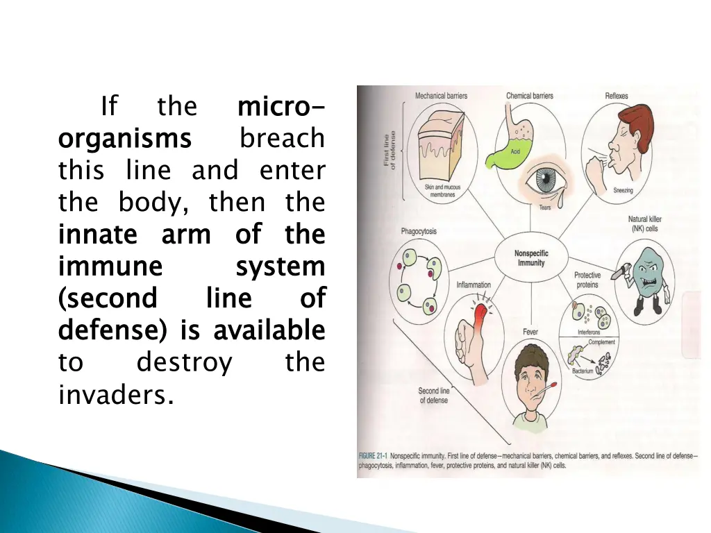 slide5