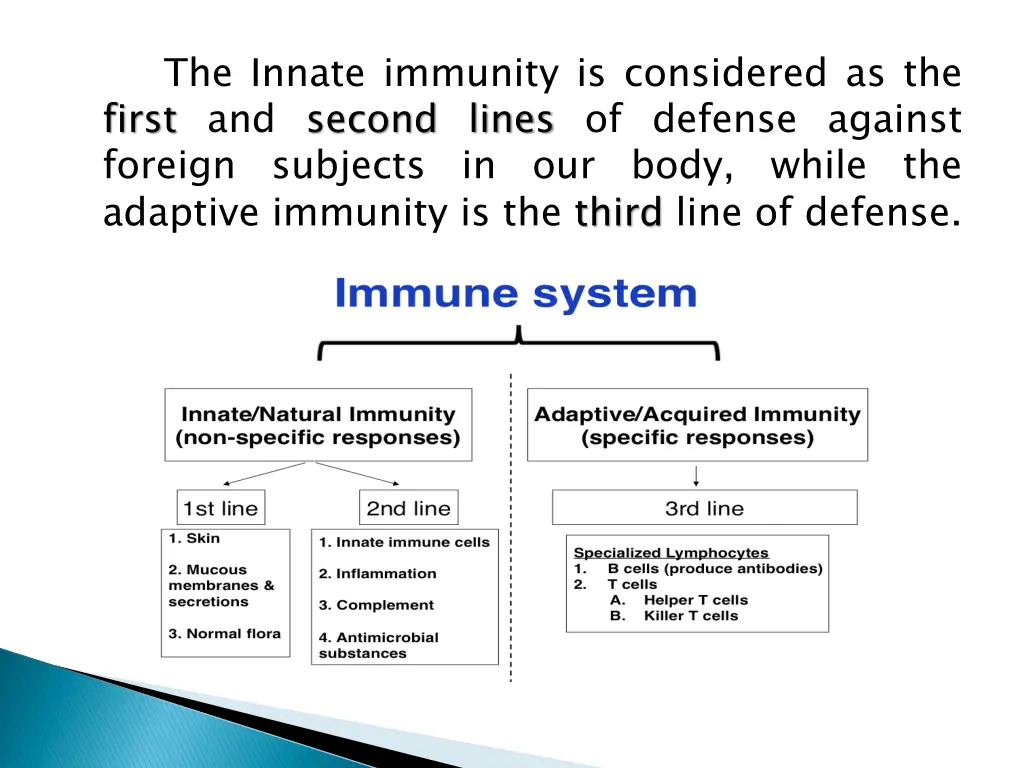the innate immunity is considered as the first