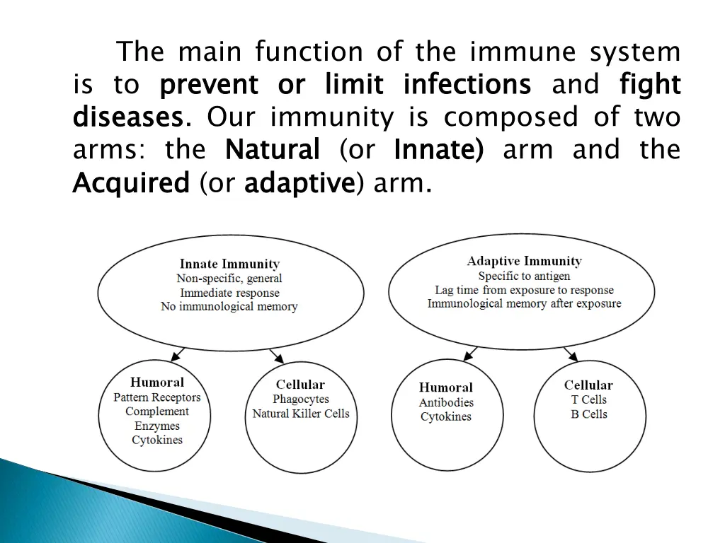 the main function of the immune system