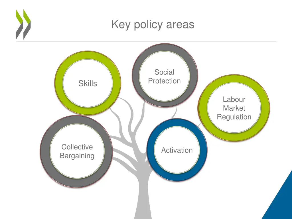 key policy areas