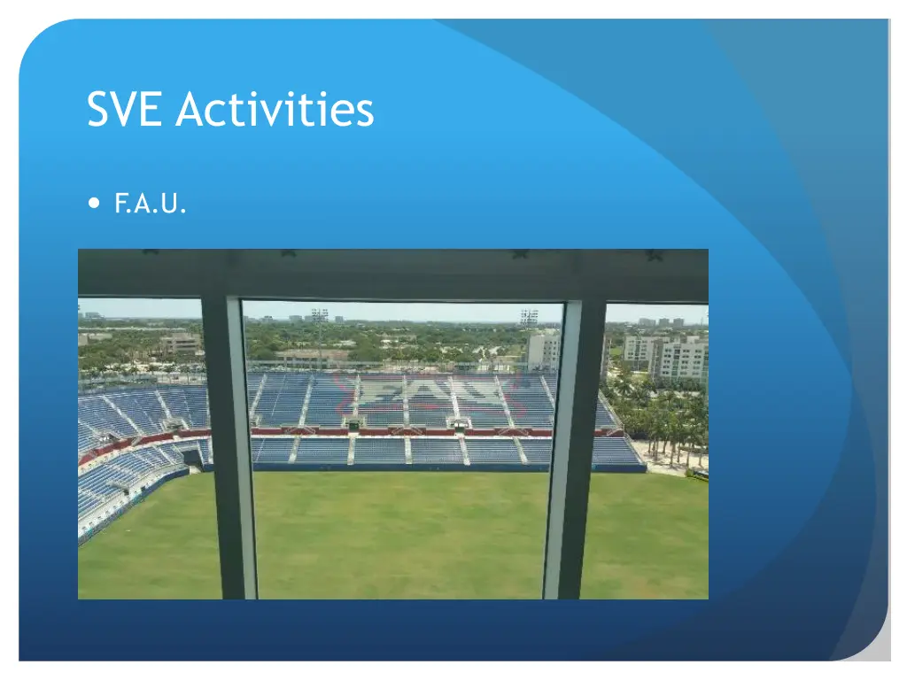 sve activities 2