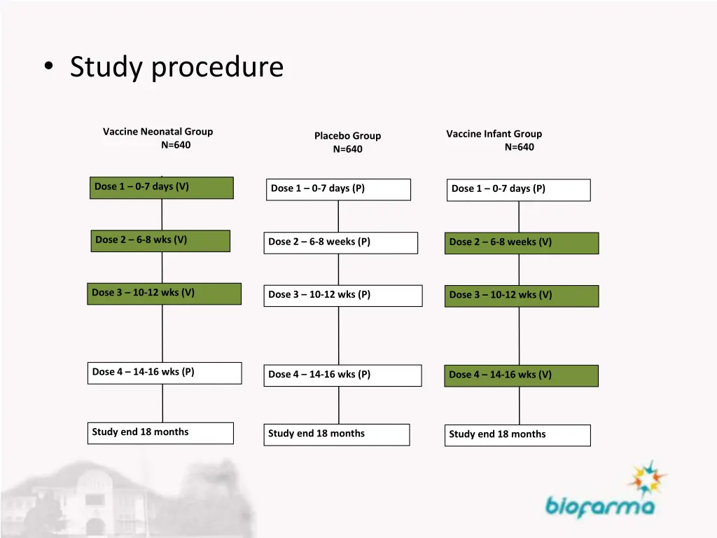 study procedure