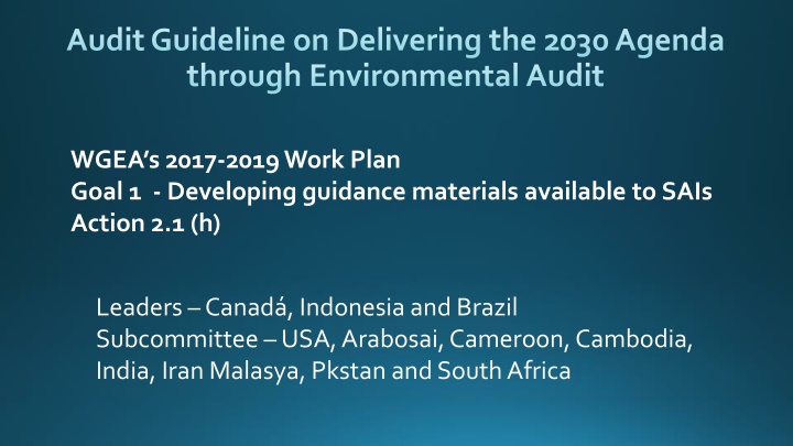 audit guideline on delivering the 2030 agenda