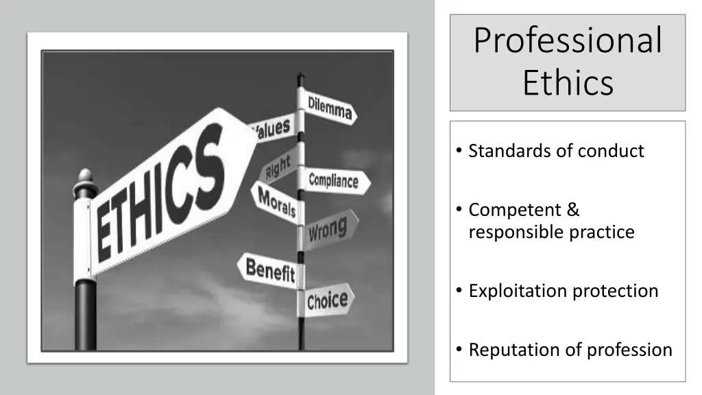 professional ethics