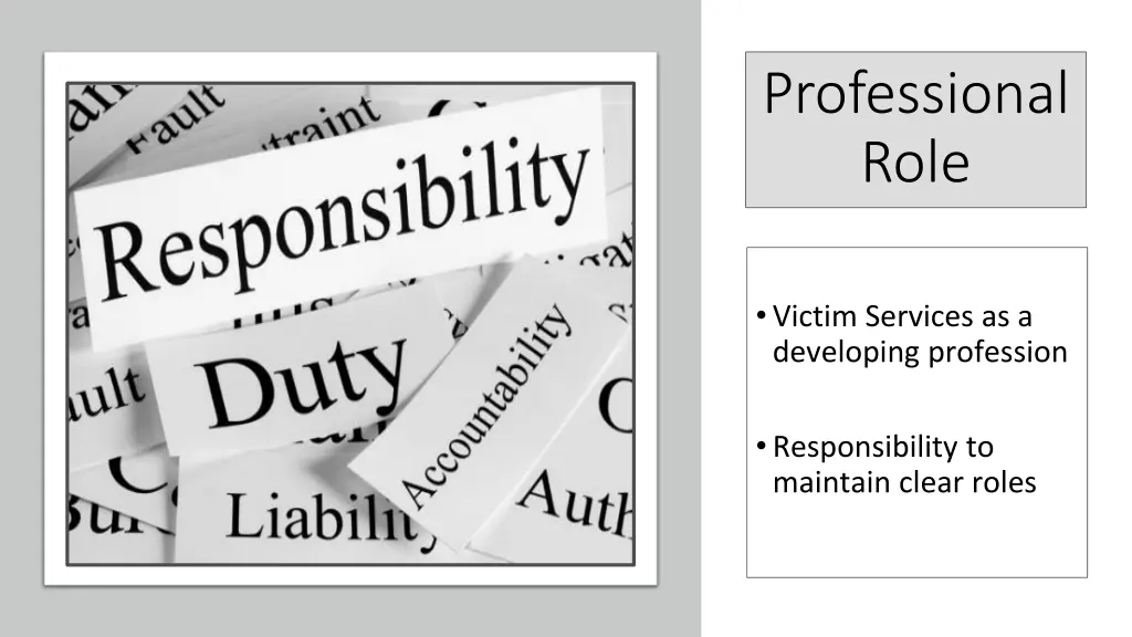 professional role 1