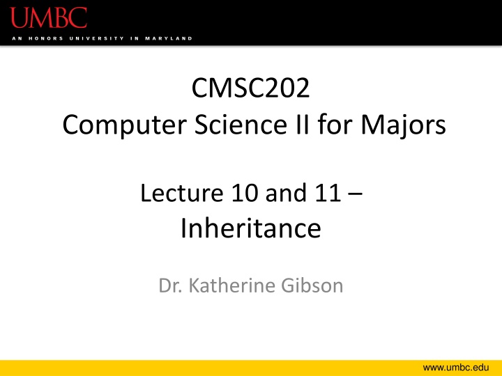 cmsc202