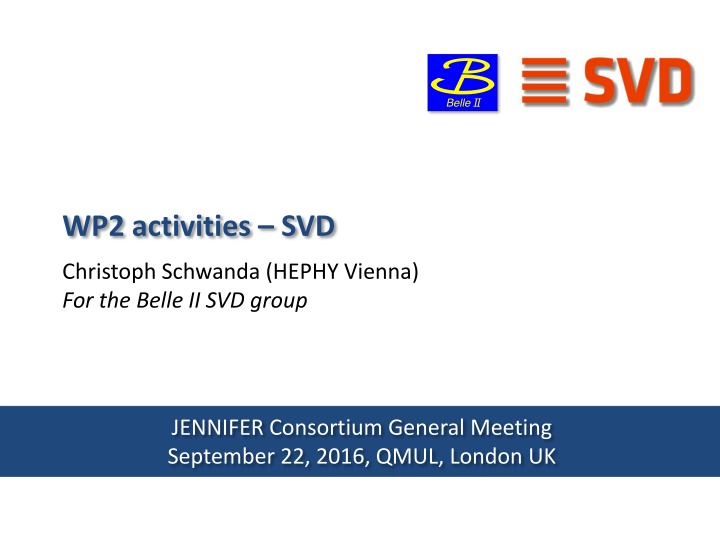 wp2 activities svd