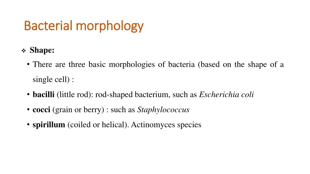 bacterial morphology bacterial morphology