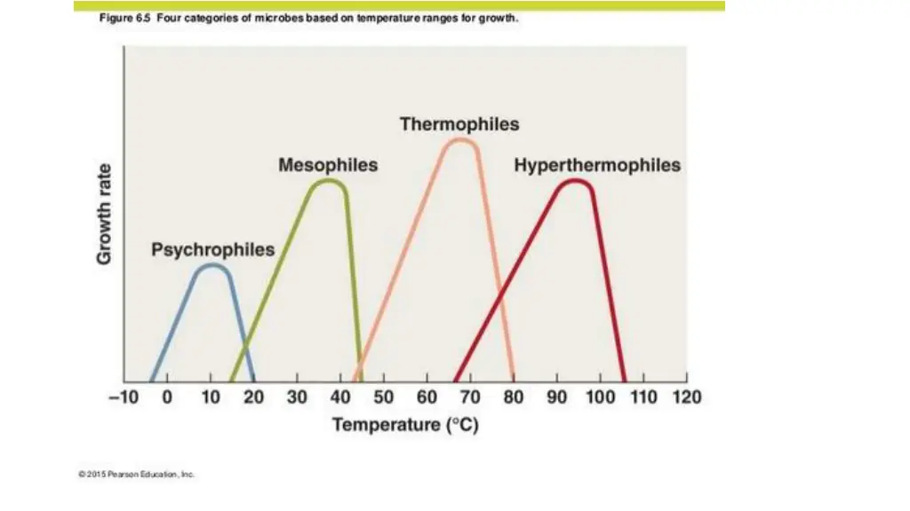 slide12