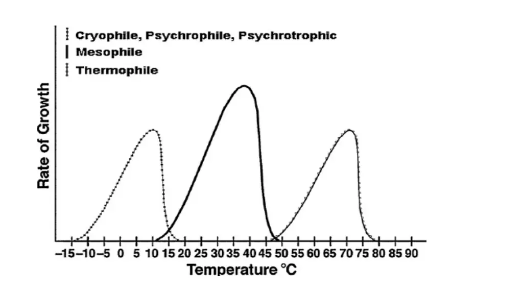 slide13
