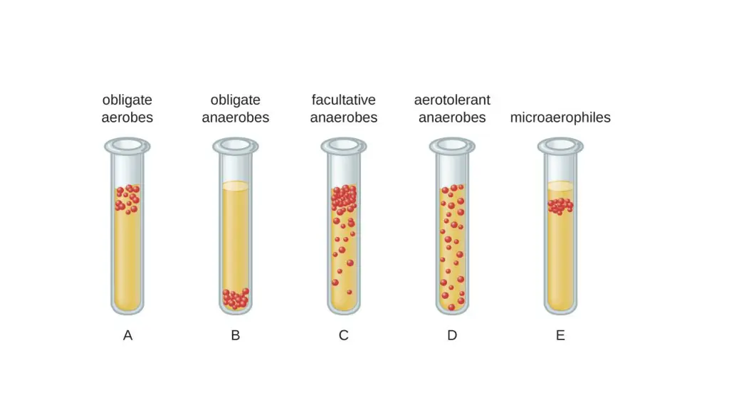 slide15