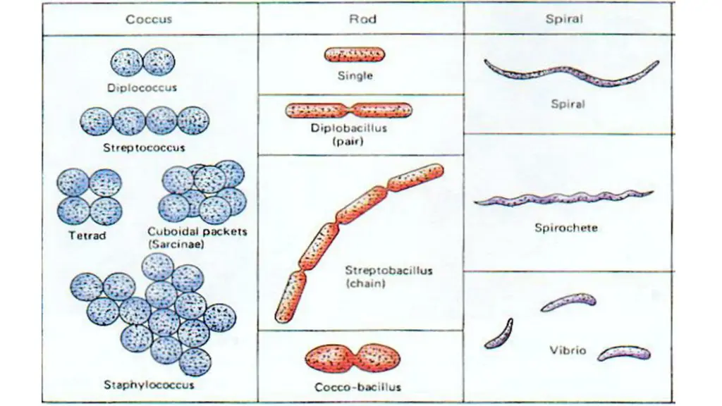 slide21