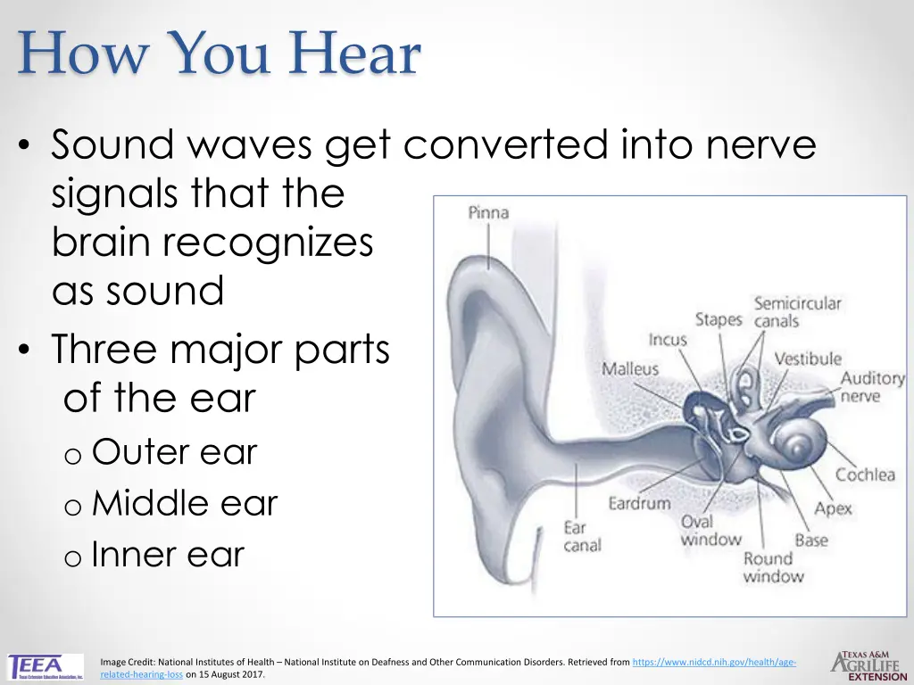 how you hear