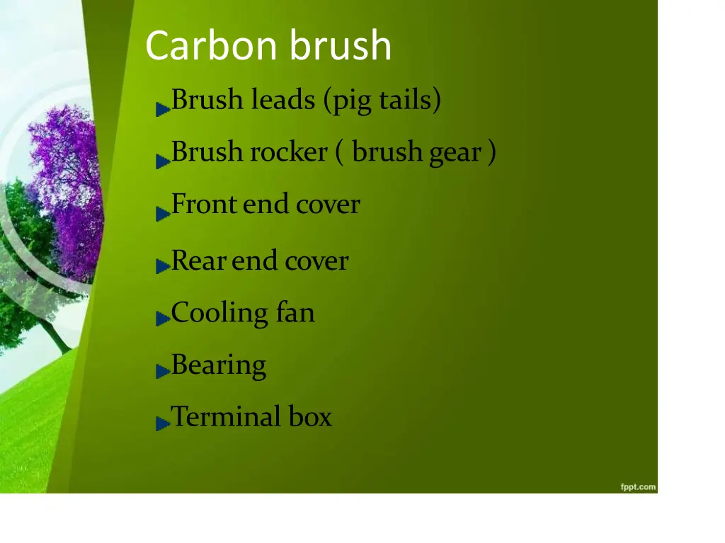 carbon brush