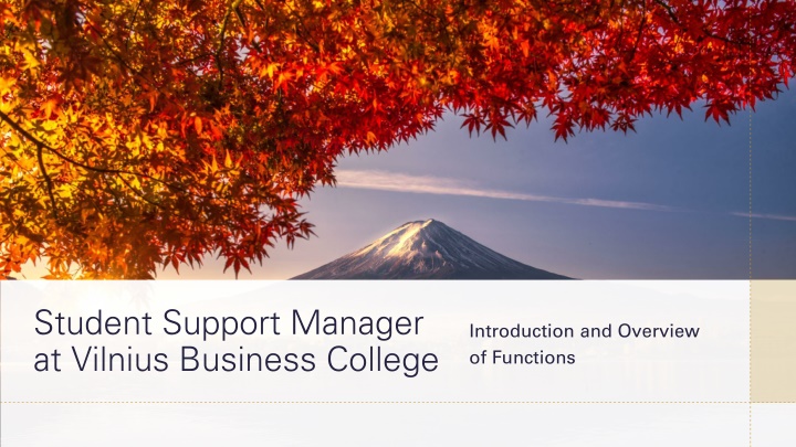 student support manager at vilnius business