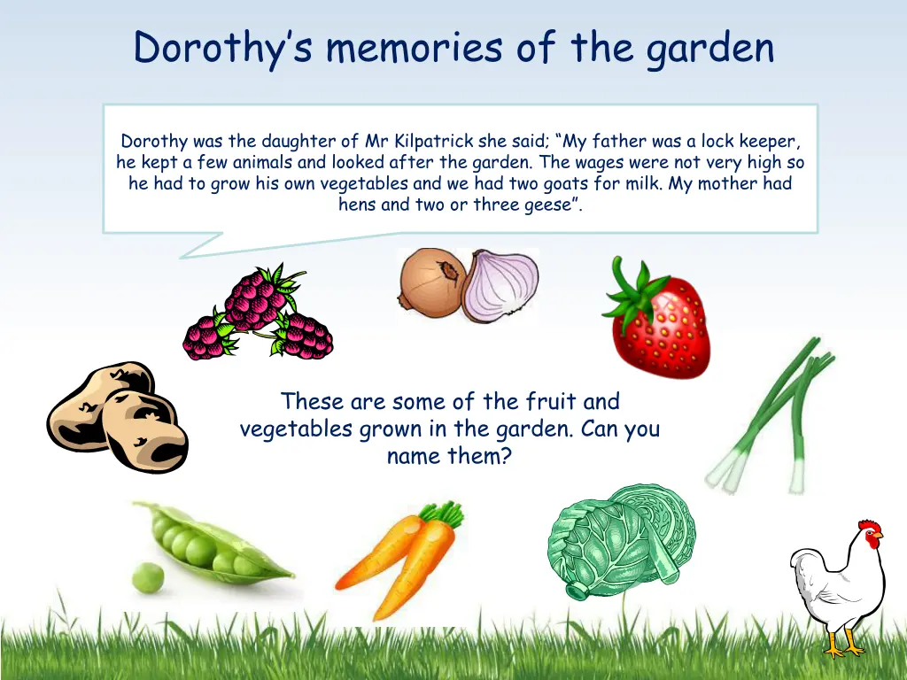 dorothy s memories of the garden
