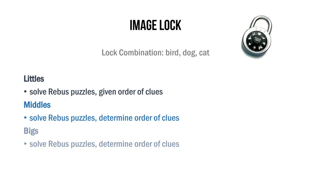 lock combination bird dog cat