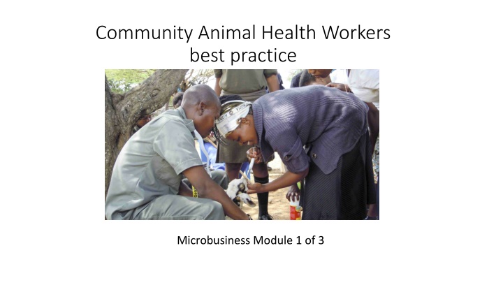 community animal health workers best practice