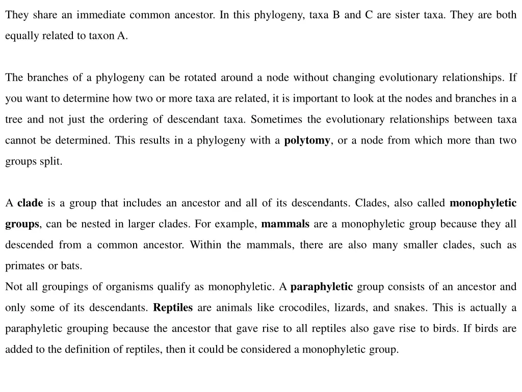 they share an immediate common ancestor in this