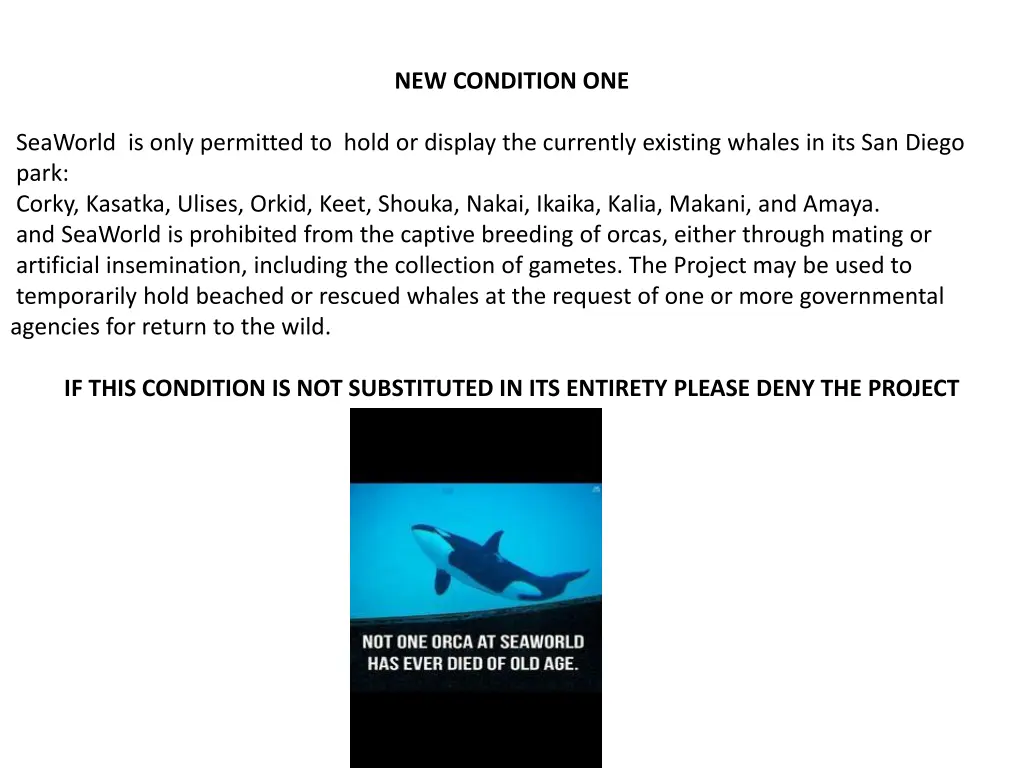 new condition one