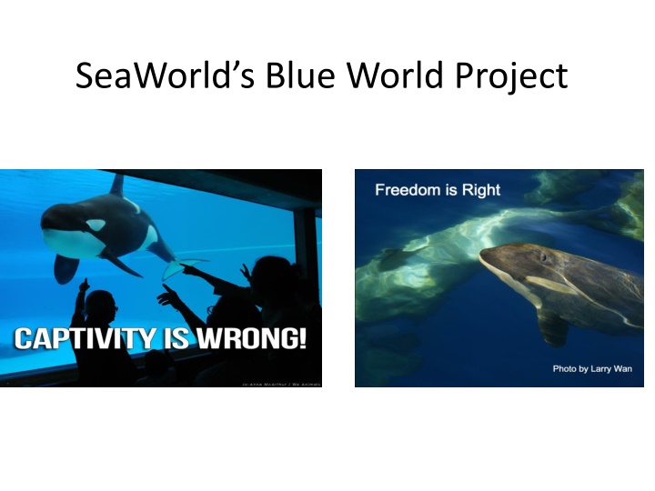 seaworld s blue world project