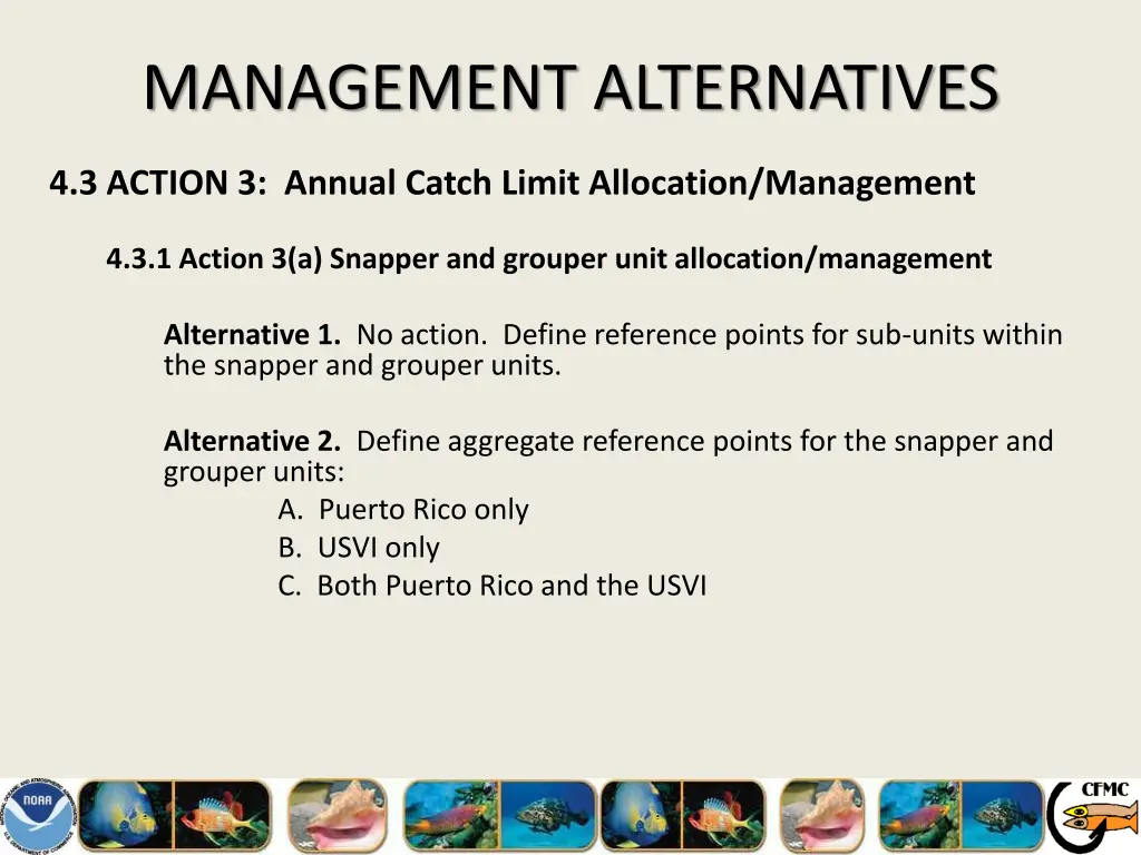 management alternatives 12