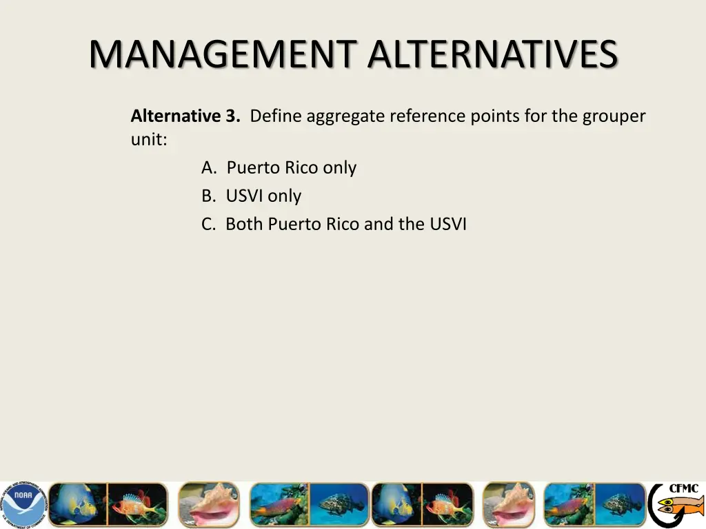 management alternatives 13