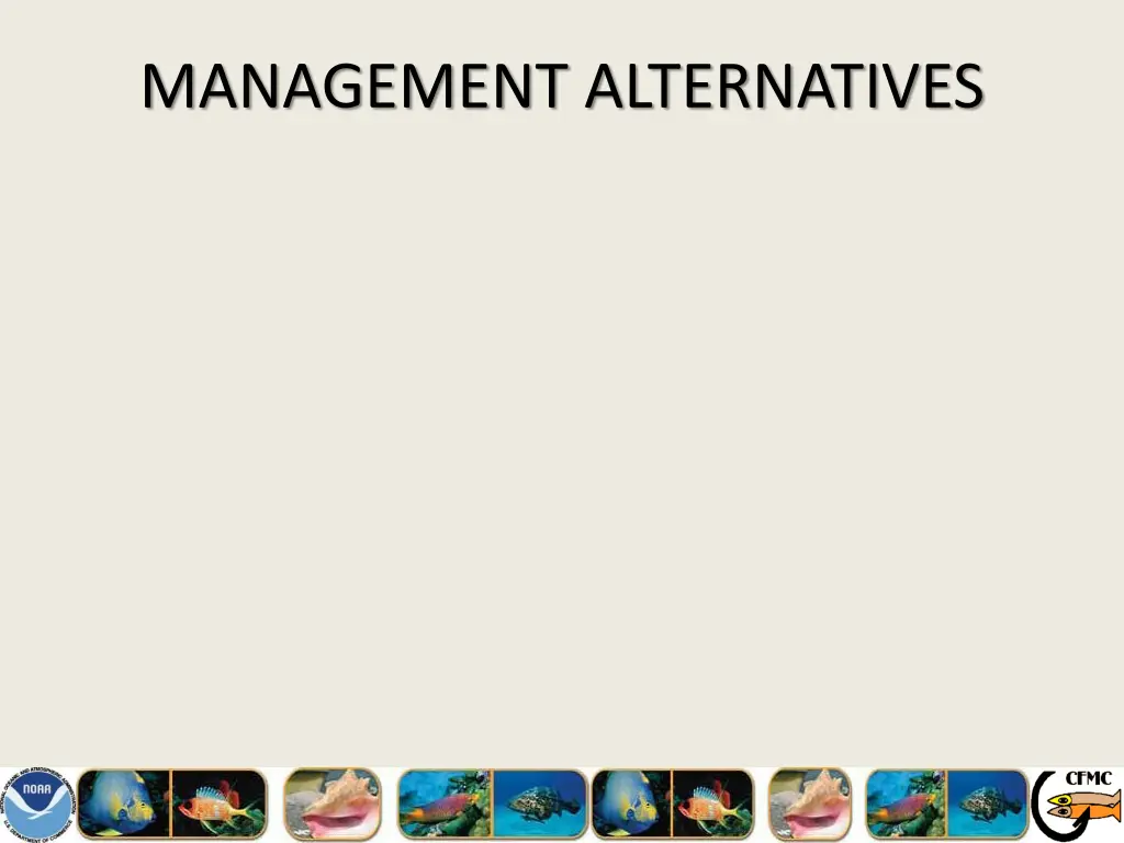 management alternatives 2