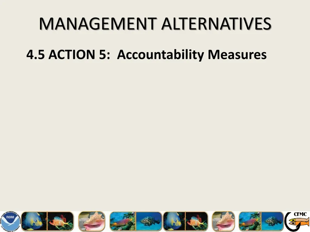 management alternatives 20