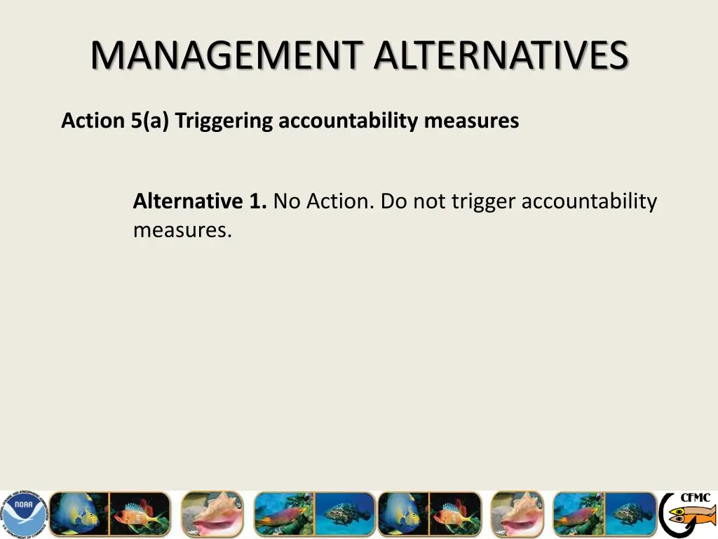 management alternatives 21