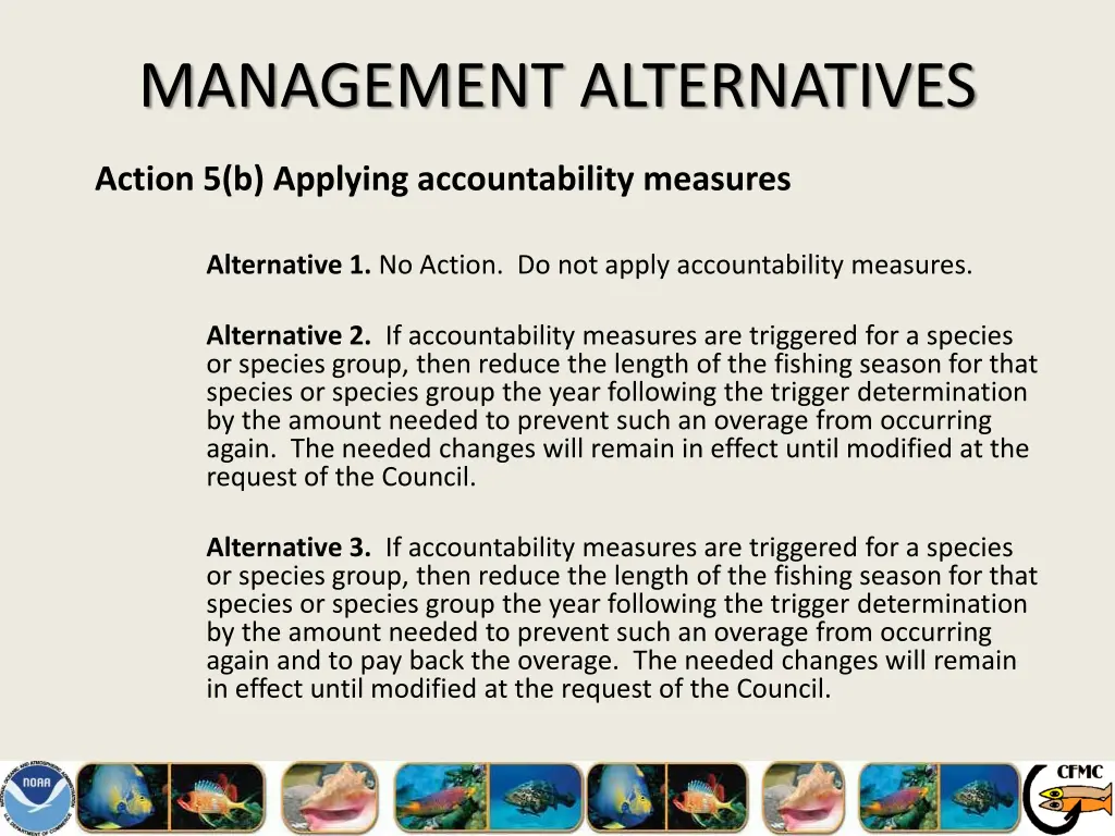 management alternatives 24