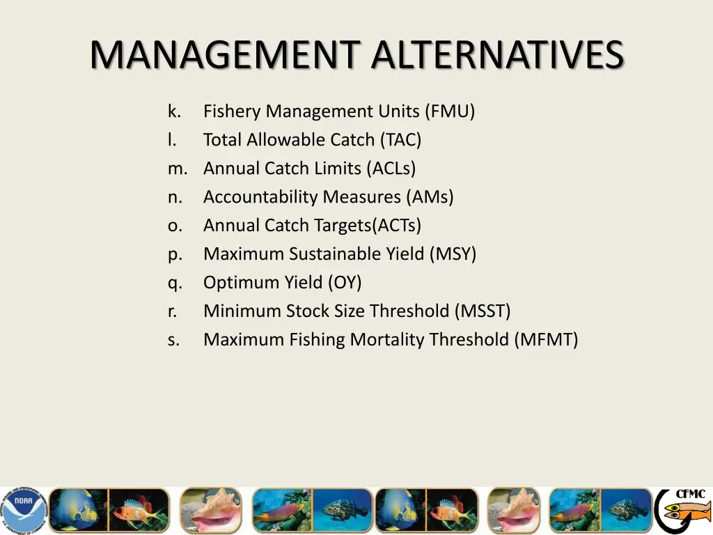 management alternatives 27