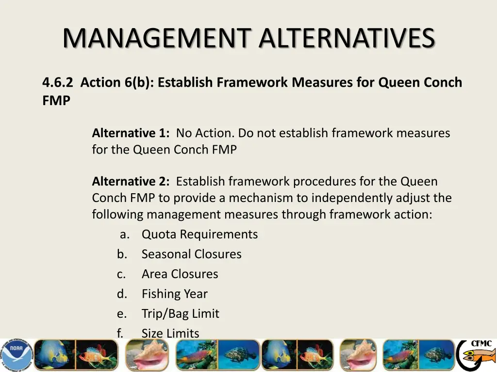 management alternatives 29