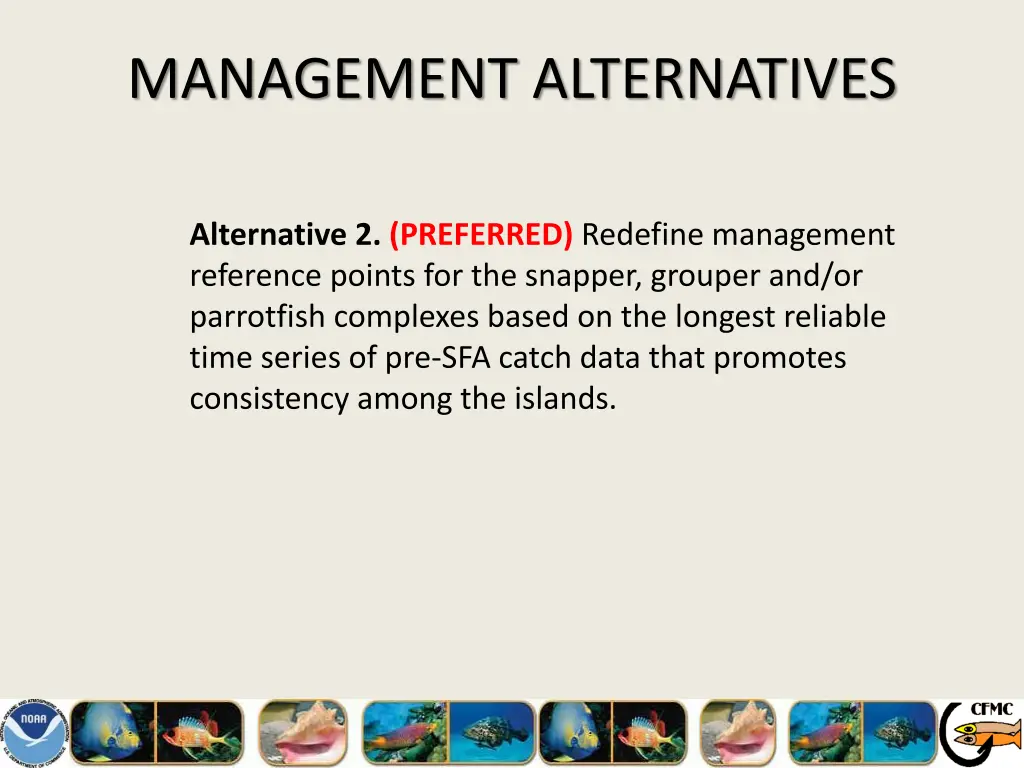 management alternatives 4
