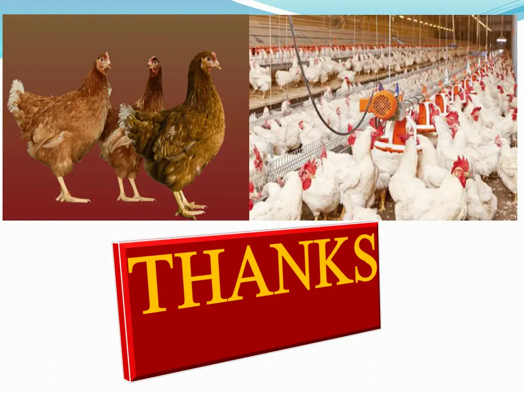 slide15