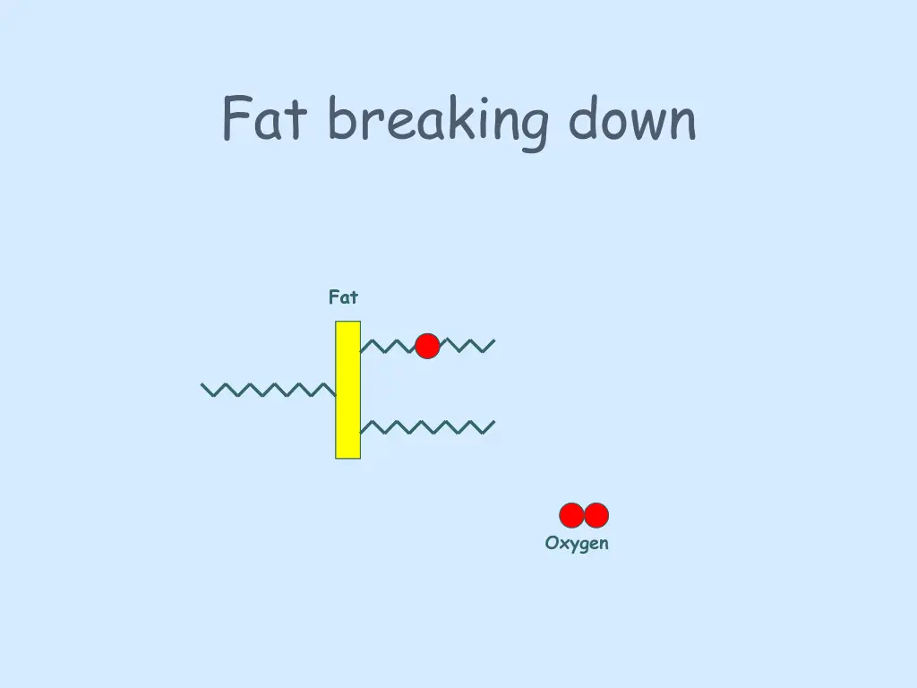 fat breaking down