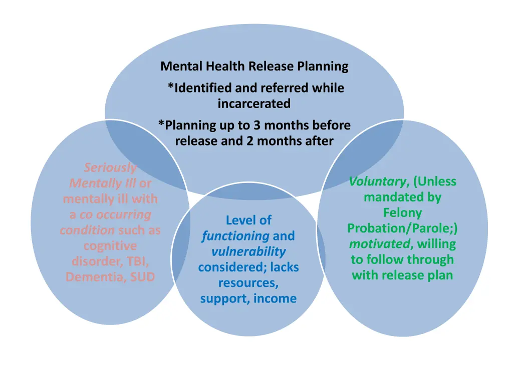 mental health release planning