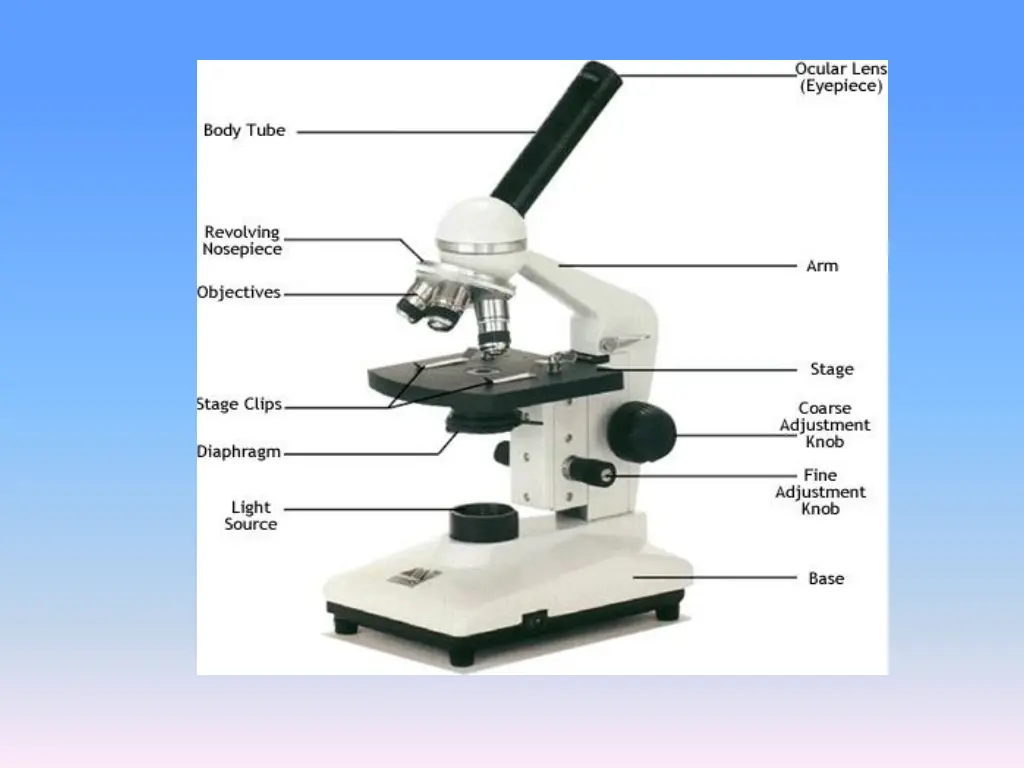 slide6