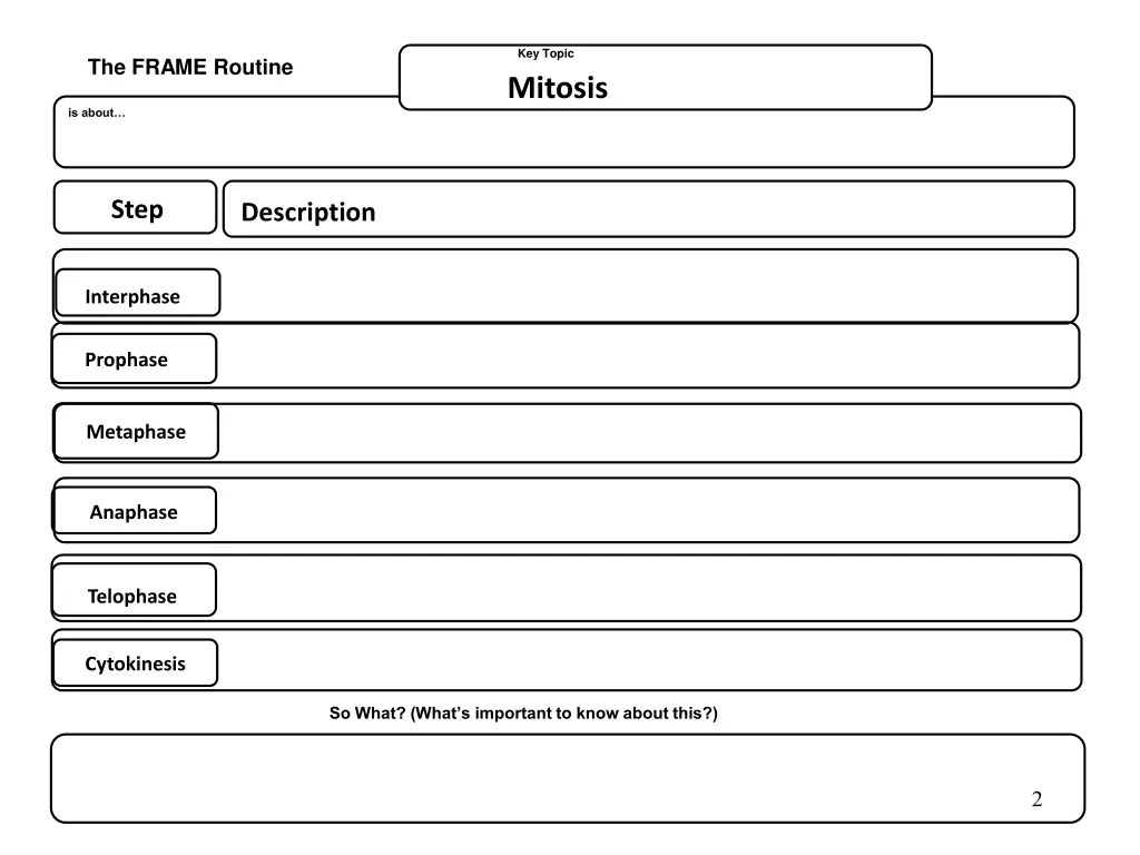 key topic mitosis